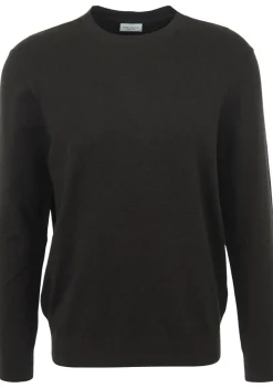 Truien>PROFUOMO TRUI Bruin