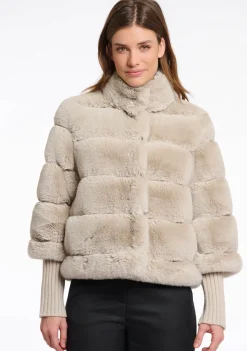 Jassen><noscript><img width=