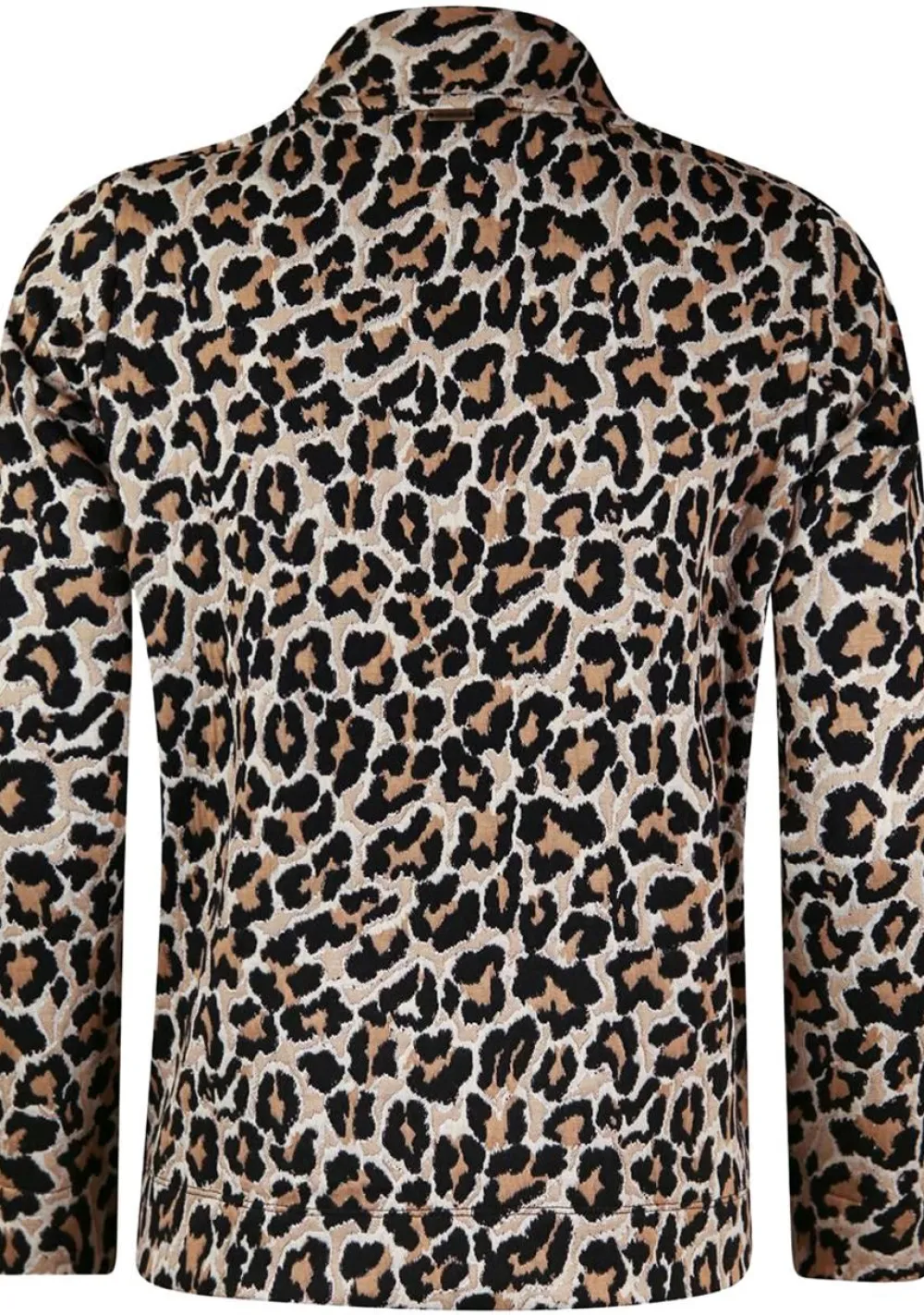 Truien|Sweaters>ROBERTO SARTO SWEATER Beige