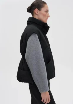 Jassen><noscript><img width=