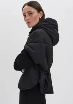 Jassen><noscript><img width=