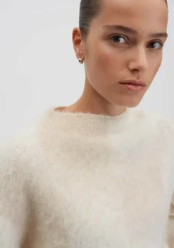 Truien><noscript><img width=