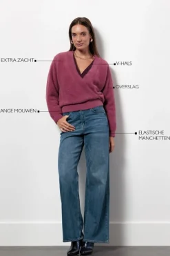 Truien><noscript><img width=