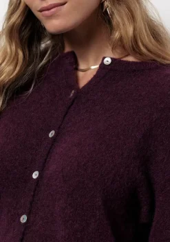 Vesten><noscript><img width=