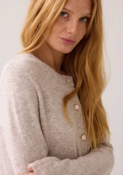 Vesten><noscript><img width=