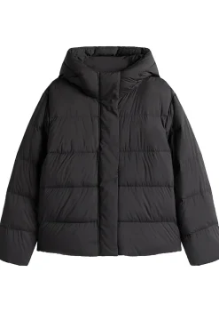 Winterjassen|Jassen>TOMMY HILFIGER JACK