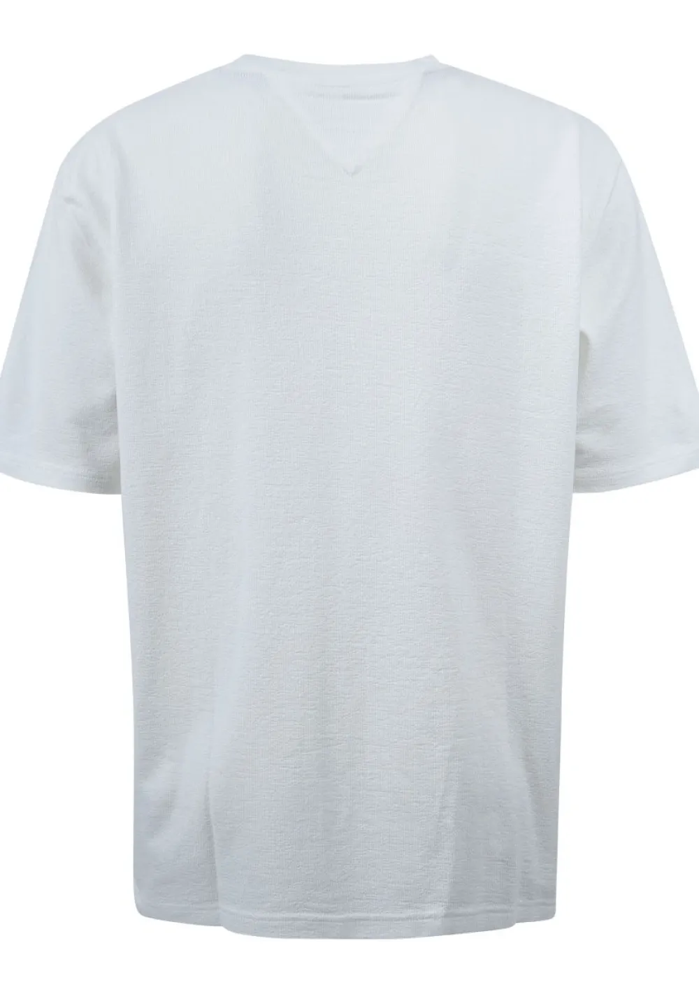 T-Shirts>TOMMY HILFIGER TSHIRT Off white