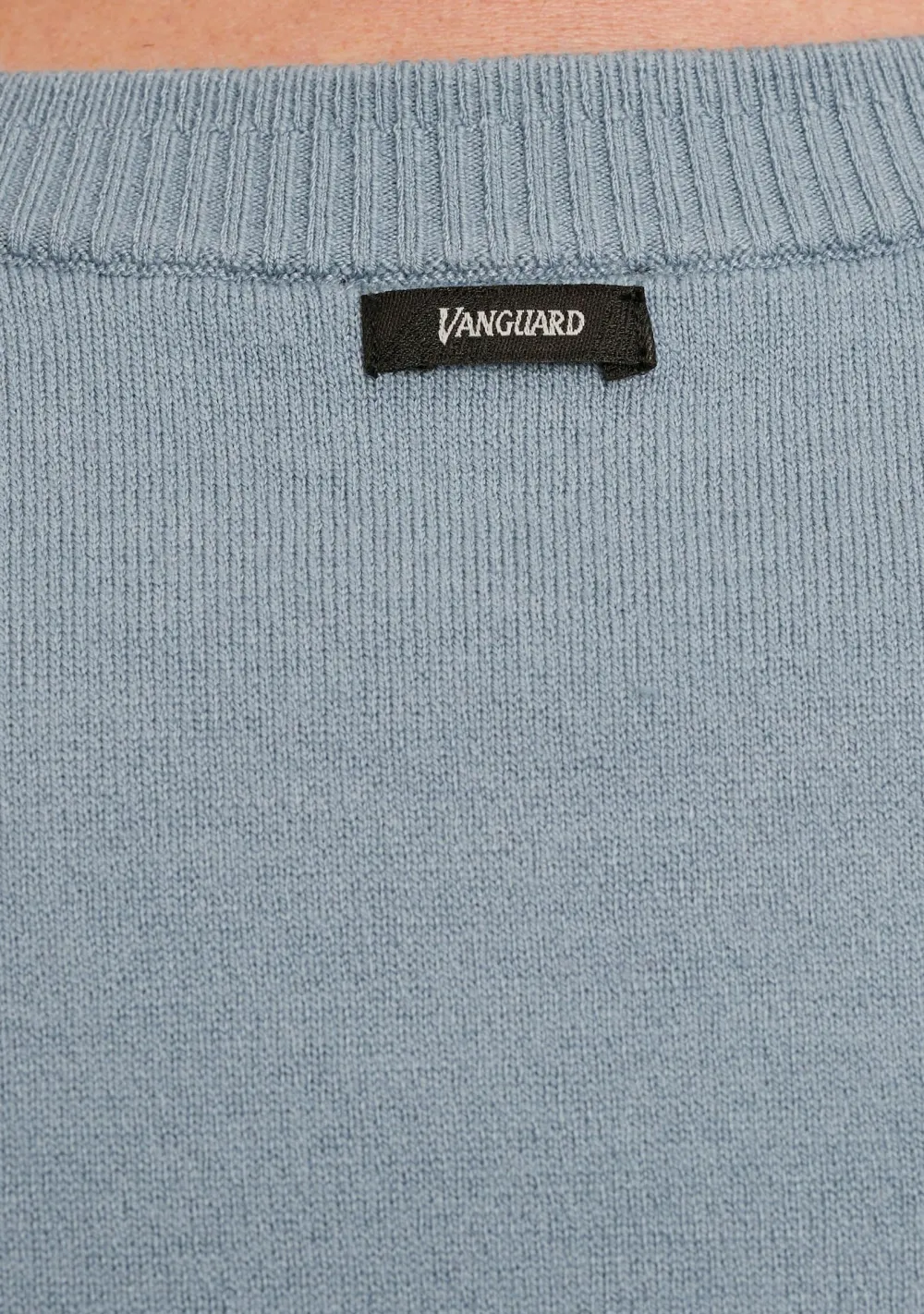 Truien>VANGUARD TRUI Blauw