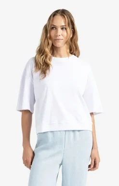 Shirts><noscript><img width=