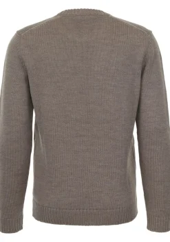 Truien>ZANONE TRUI Bruin